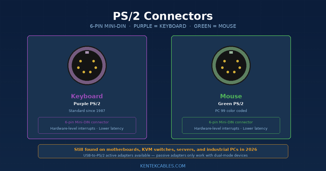 PS/2 Connectors: The Purple and Green Ports Mini Din 6-Pin And More