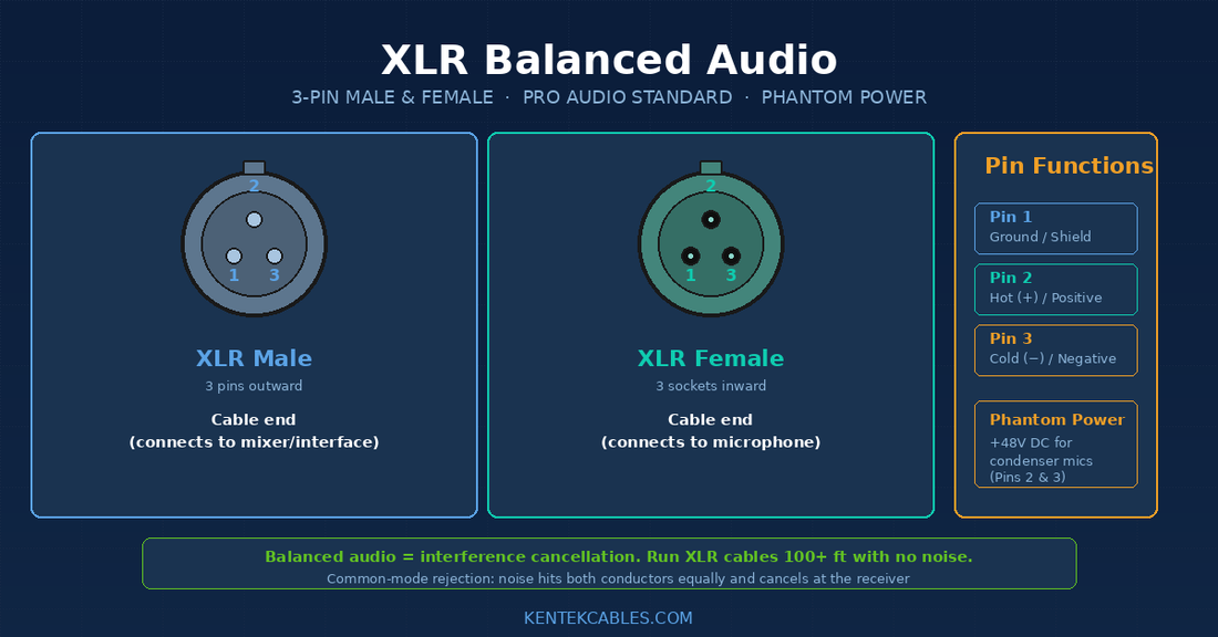 XLR Cables Explained: Why Pro Audio Uses Balanced Connections